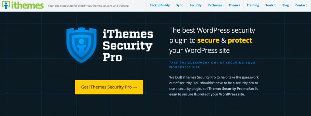 It themes security wordpress pro.