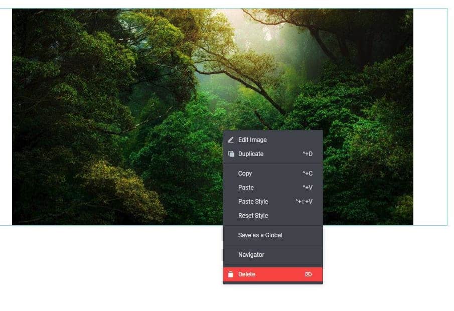 Deleting an image in Elementor