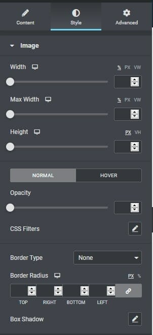 Style tab interface of image widget