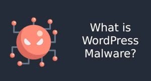 What is WordPress malware
