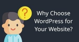 Why choose WordPress for your website
