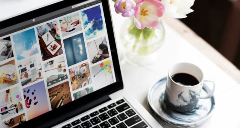 Best WordPress Themes